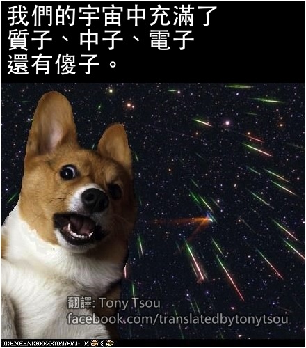 CorgiTheory