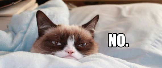 r-GRUMPY-CAT-NO-large570