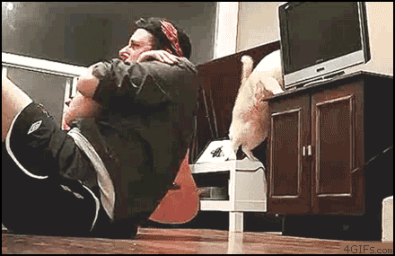 Sit-Up-Fail-Cat-Drops-TV-on-Head
