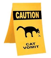 3256848210_cats20vomiting_xlarge