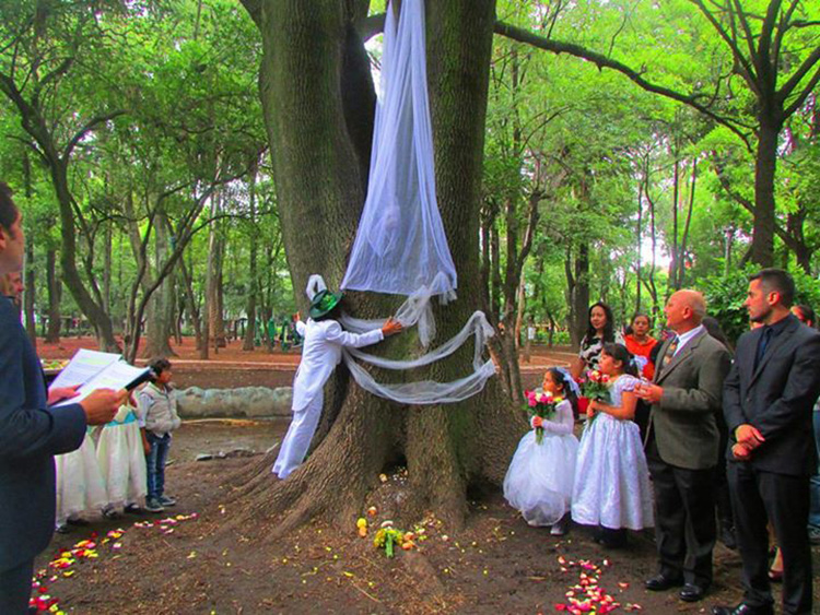 10389668_10152897687822926_8223220059050068039_n