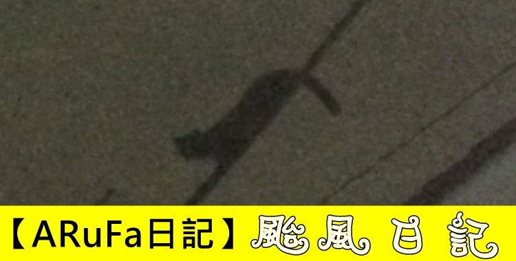 Arufa日記 超群絕倫 我的王子殿下 達達主譯 Arufa日記 超群絕倫 我的王子殿下 達達主譯